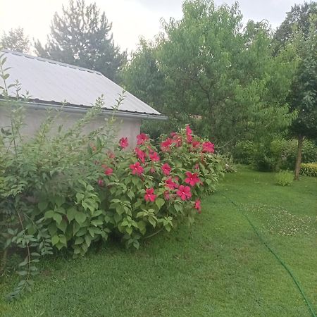 Sobe Masa Konuk evi Subotica Dış mekan fotoğraf