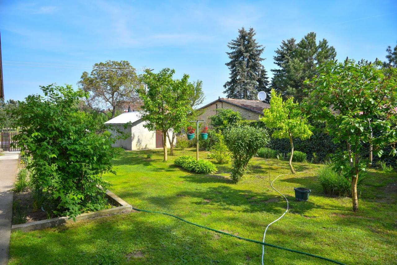Sobe Masa Konuk evi Subotica Dış mekan fotoğraf