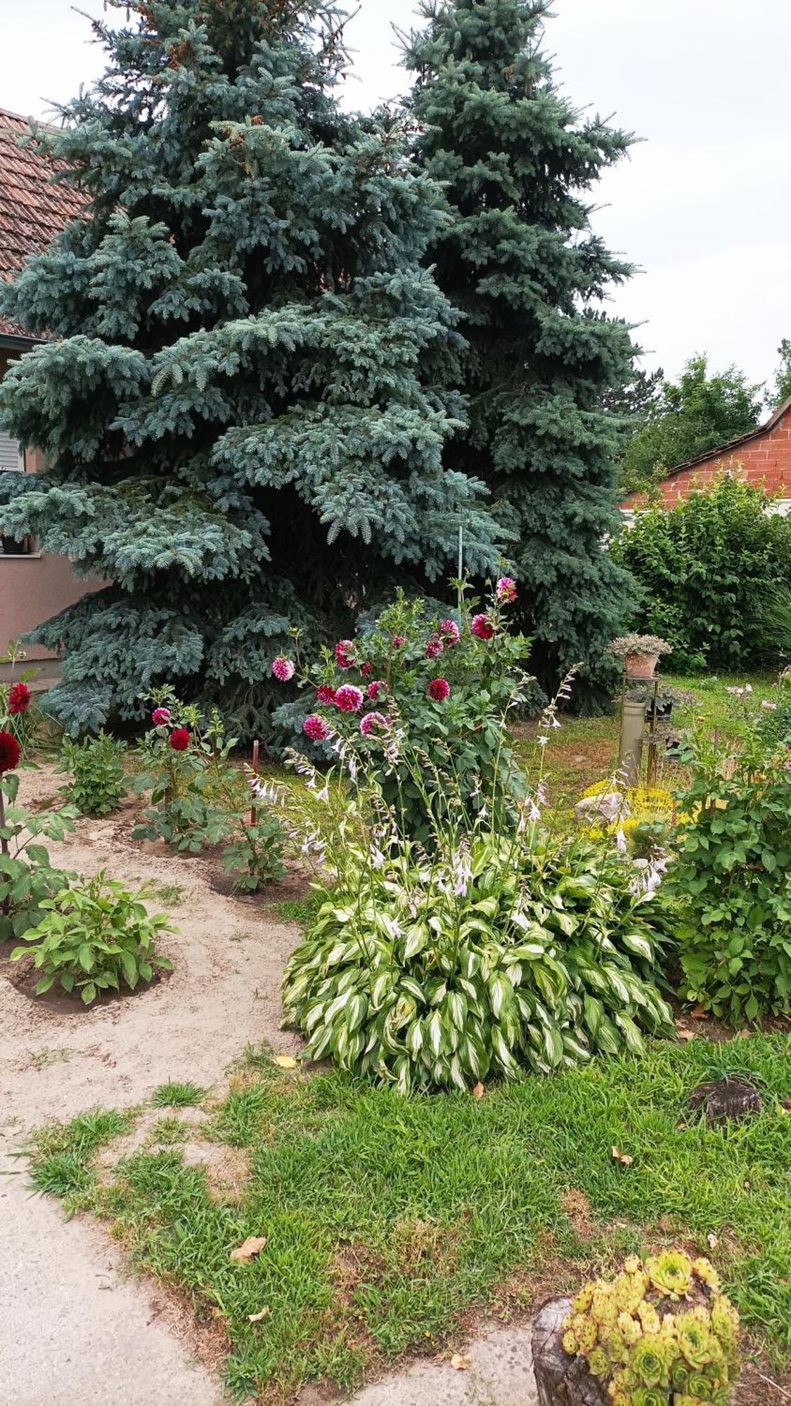 Sobe Masa Konuk evi Subotica Dış mekan fotoğraf