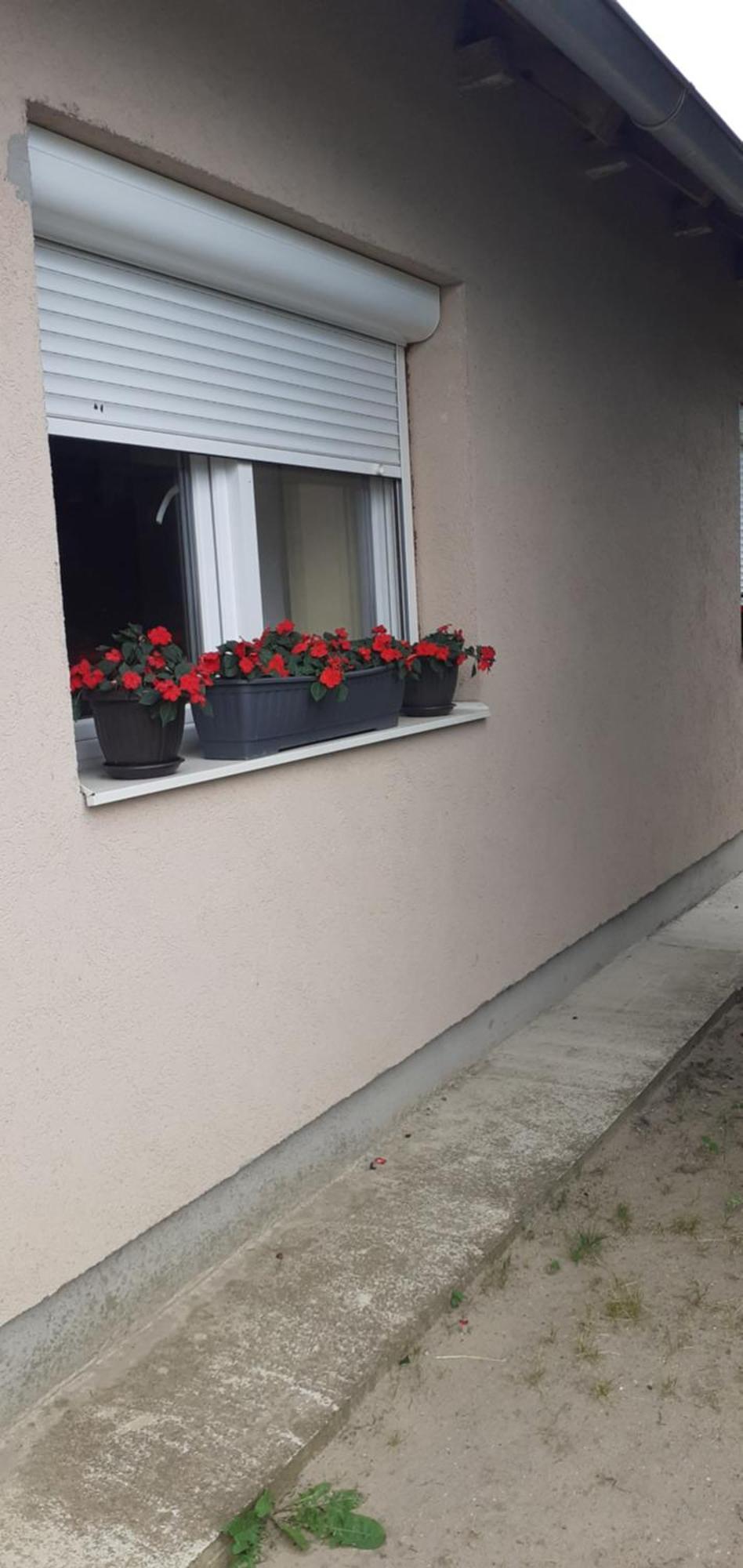 Sobe Masa Konuk evi Subotica Dış mekan fotoğraf