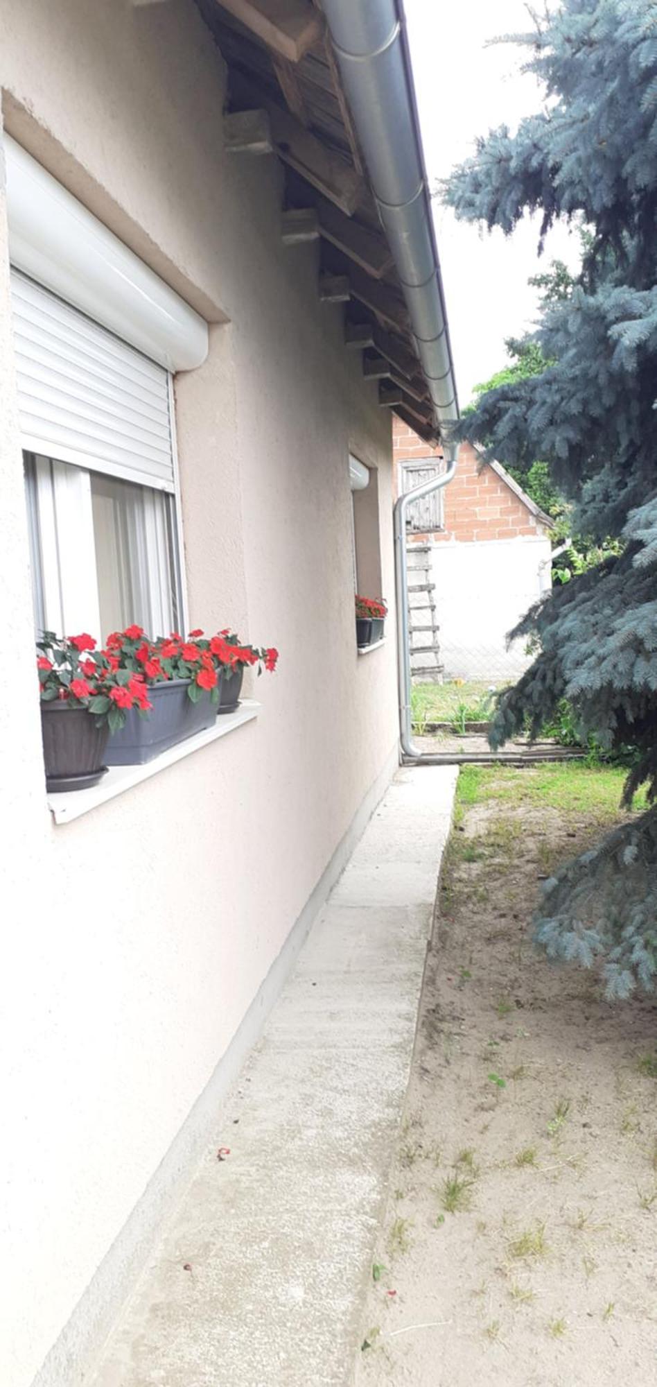 Sobe Masa Konuk evi Subotica Dış mekan fotoğraf