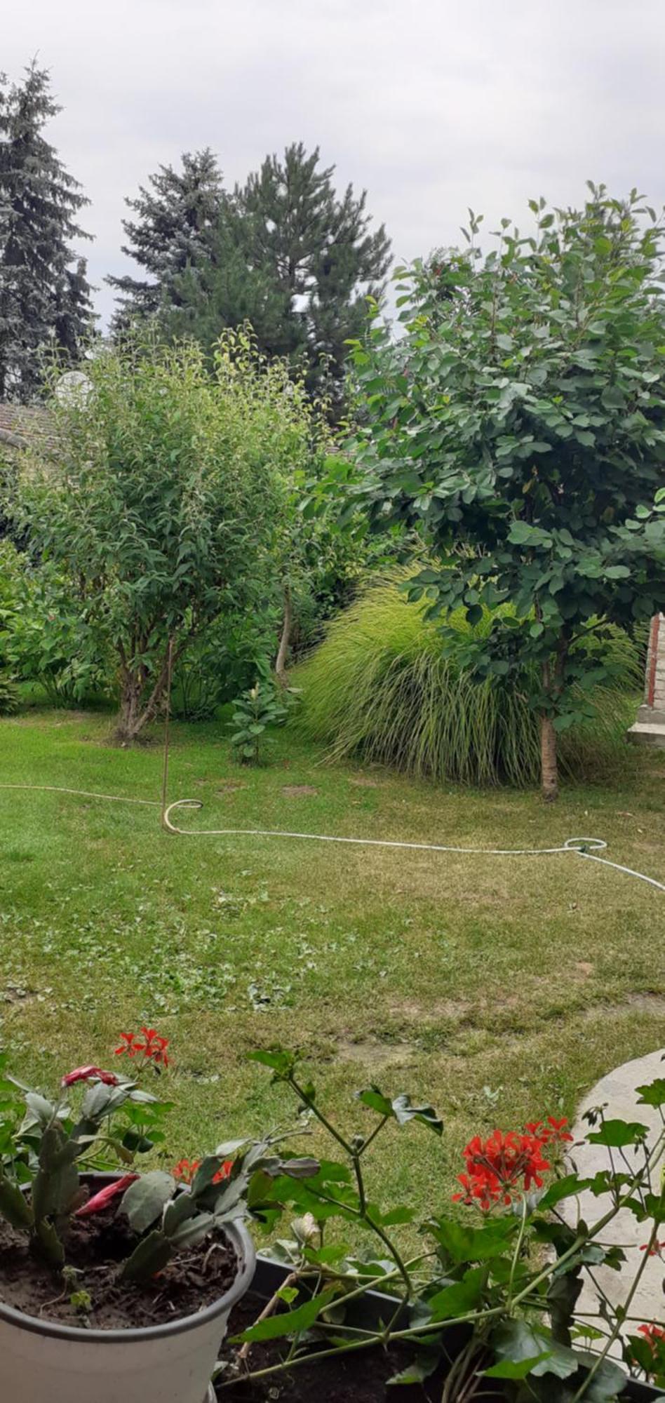 Sobe Masa Konuk evi Subotica Dış mekan fotoğraf
