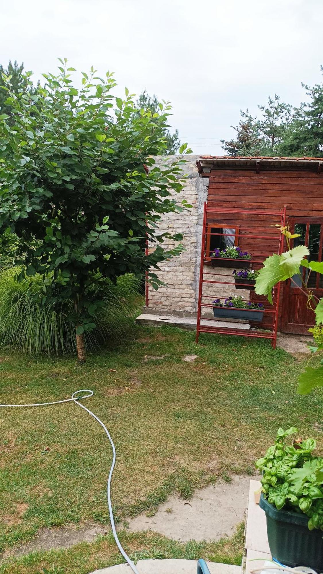 Sobe Masa Konuk evi Subotica Dış mekan fotoğraf